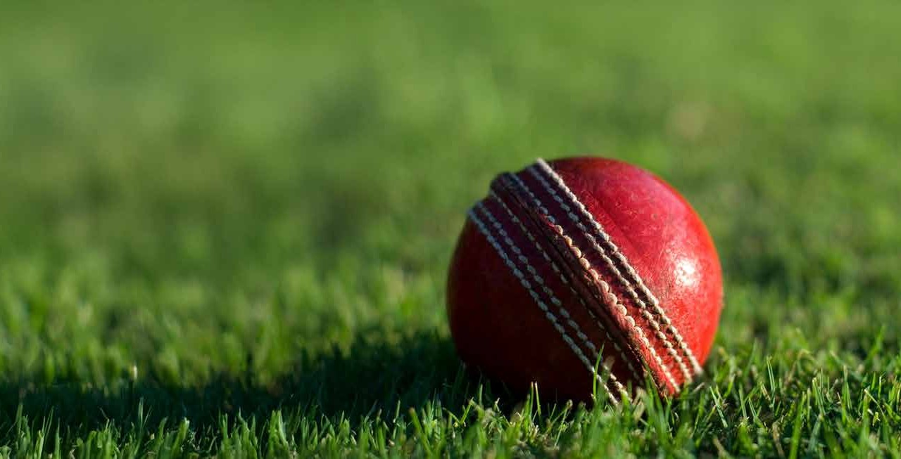 Cricket Enclosures